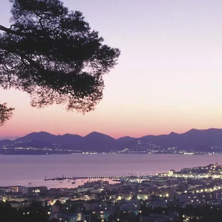 Paradisio Cannes